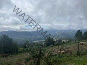 Giro2022_JustRide_it-33