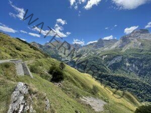 IMG_9251