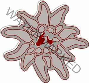KL-Giro-Edelweiss