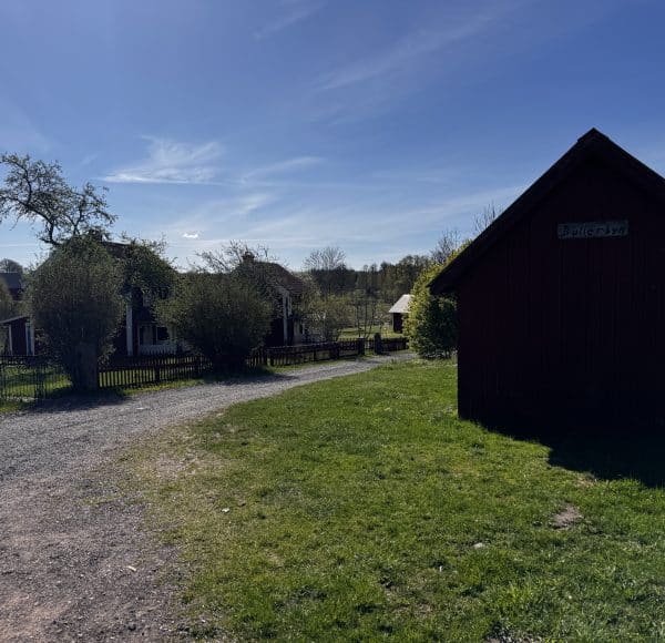 SCANDIC RIDE 2025 JUSTRIDE T1-111