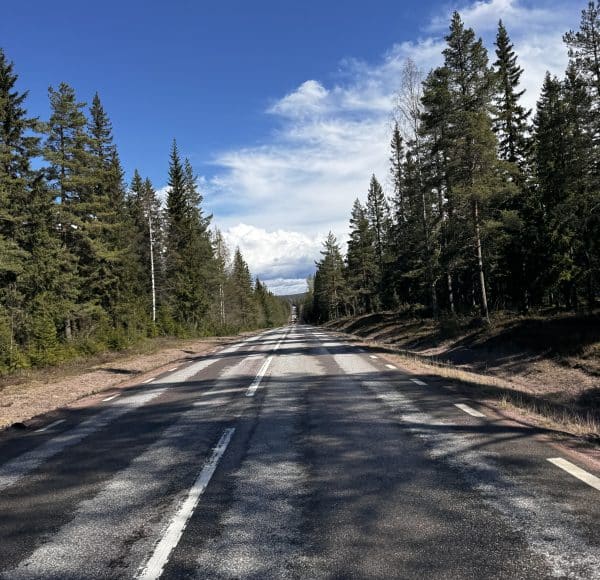 Gerade Landstraße durch einen Wald, umgeben von hohen Bäumen, unter blauem Himmel mit vereinzelten Wolken.
