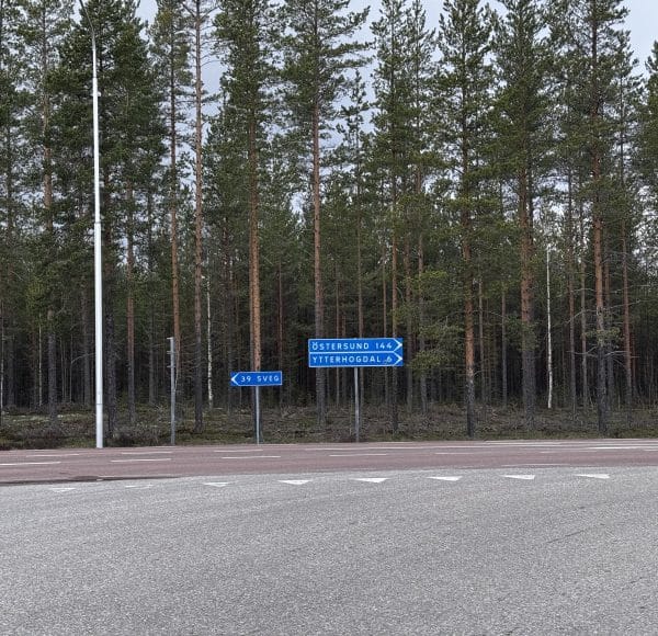 Straße mit blauen Verkehrsschildern vor einem Wald mit hohen Kiefern, aufgenommen bei bewölktem Himmel.