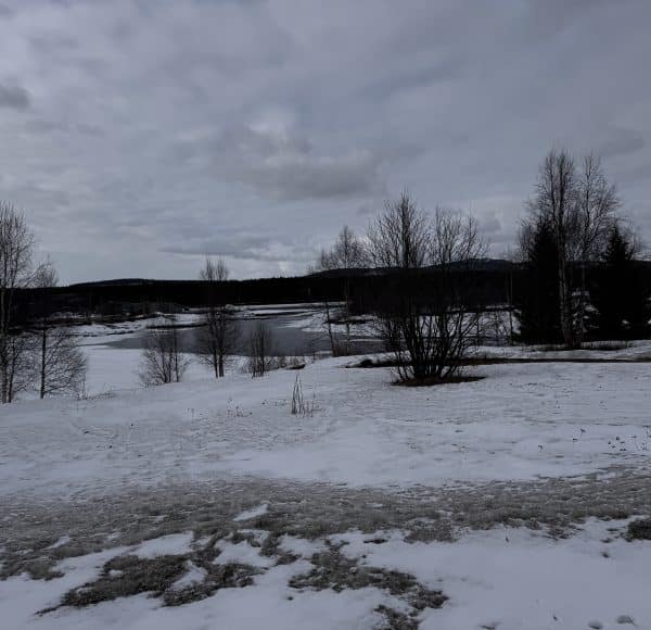 Verschneite Landschaft mit Bäumen, gefrorenem See und bewölktem Himmel, ruhige Winteratmosphäre nördlich von Ivalo, Finnland, Anfang Mai 2025. © JustKommunikation GmbH | JustRide it