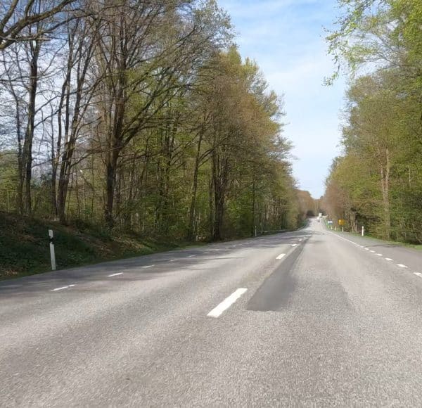 Leere Landstraße mit Bäumen auf beiden Seiten unter blauem Himmel.