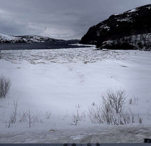 Schneebedeckte Landschaft mit kahlen Büschen, Bergen im Hintergrund und einem bewölkten Himmel.
