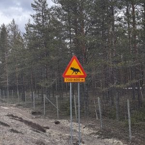 Verkehrsschild warnt vor Elchen auf einer Strecke von 700-400 m, im Wald neben einer Straße aufgestellt.