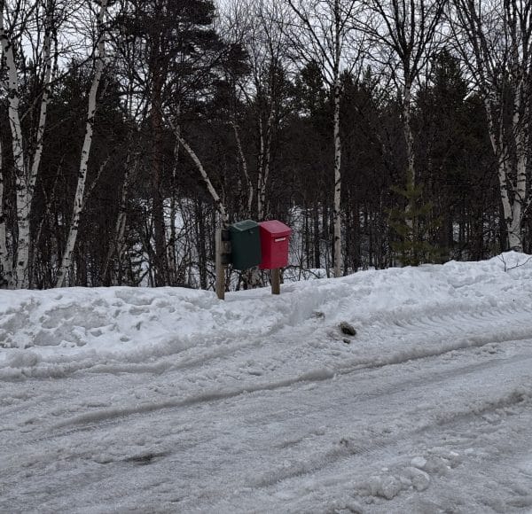 Person trägt Mülltonnen im verschneiten Gebiet, Bäume ohne Blätter im Hintergrund, winterliche Szene.