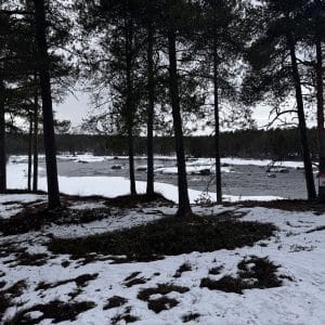 Verschneiter Waldboden mit dunkel stehenden Bäumen, im Hintergrund ein teilweise zugefrorener See unter bewölktem Himmel südlich von Rovanimie am 4. mai 2025. © JustKommunikation GmbH | JustRide it