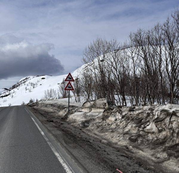 Straße mit Schneeresten am Rand, kahlen Bäumen und verschneiten Hügeln im Hintergrund, unter bewölktem Himmel.