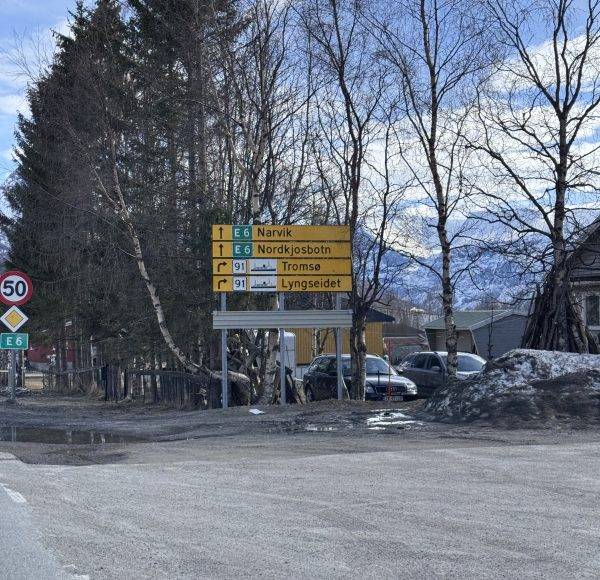 Straßenschild an einer Kreuzung im Winter, umgeben von Bäumen, Autos und Häusern, mit schneebedecktem Boden und bewölktem Himmel.