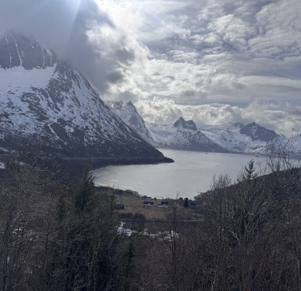 Verschneite Berge und ein See unter bewölktem Himmel, mit einigen Bäumen im Vordergrund.